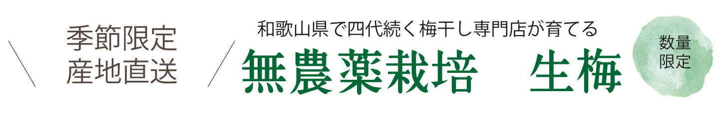 和歌山県産青梅(生梅)を煮詰めて作った無添加 梅肉エキスを産地直送