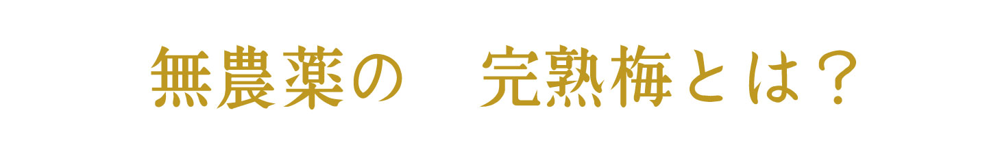 フルーツみたいな梅、フルーツ梅干し | 紀州南高梅干し通販専門店 有限会社深見梅店