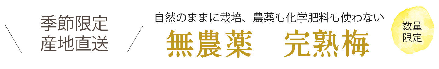 和歌山県産青梅(生梅)を煮詰めて作った無添加 梅肉エキスを産地直送